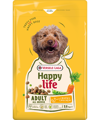 Happy Life Adult with Chicken