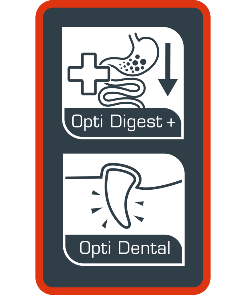 Opti Life Adult Digestion Mini