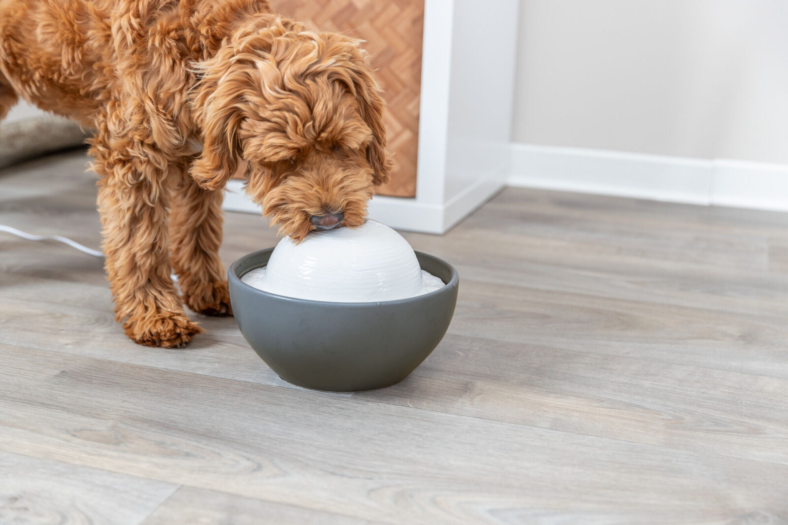 Drinking Fountain Vital Dome