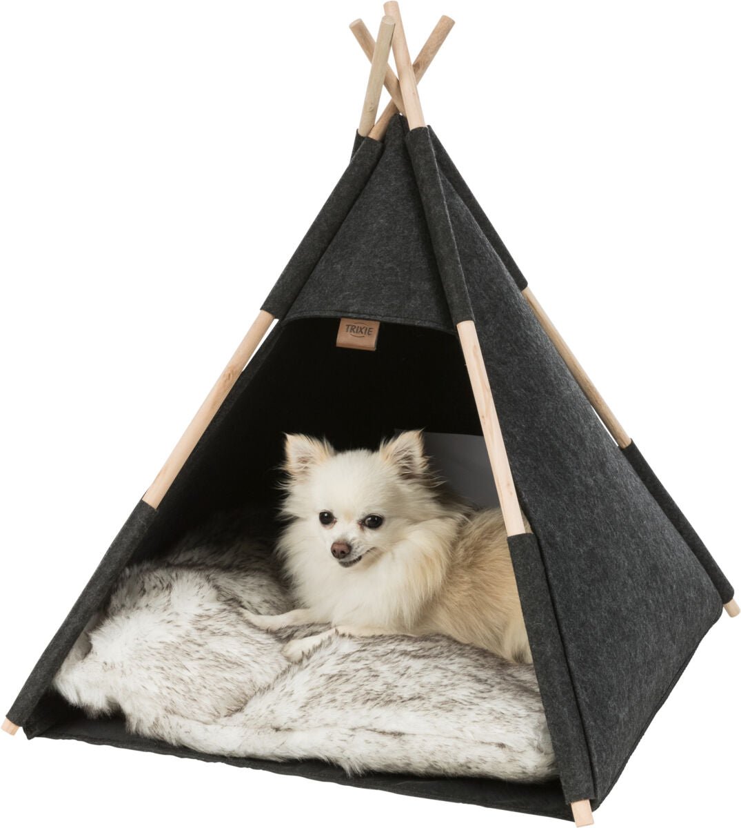 Cave Tipi