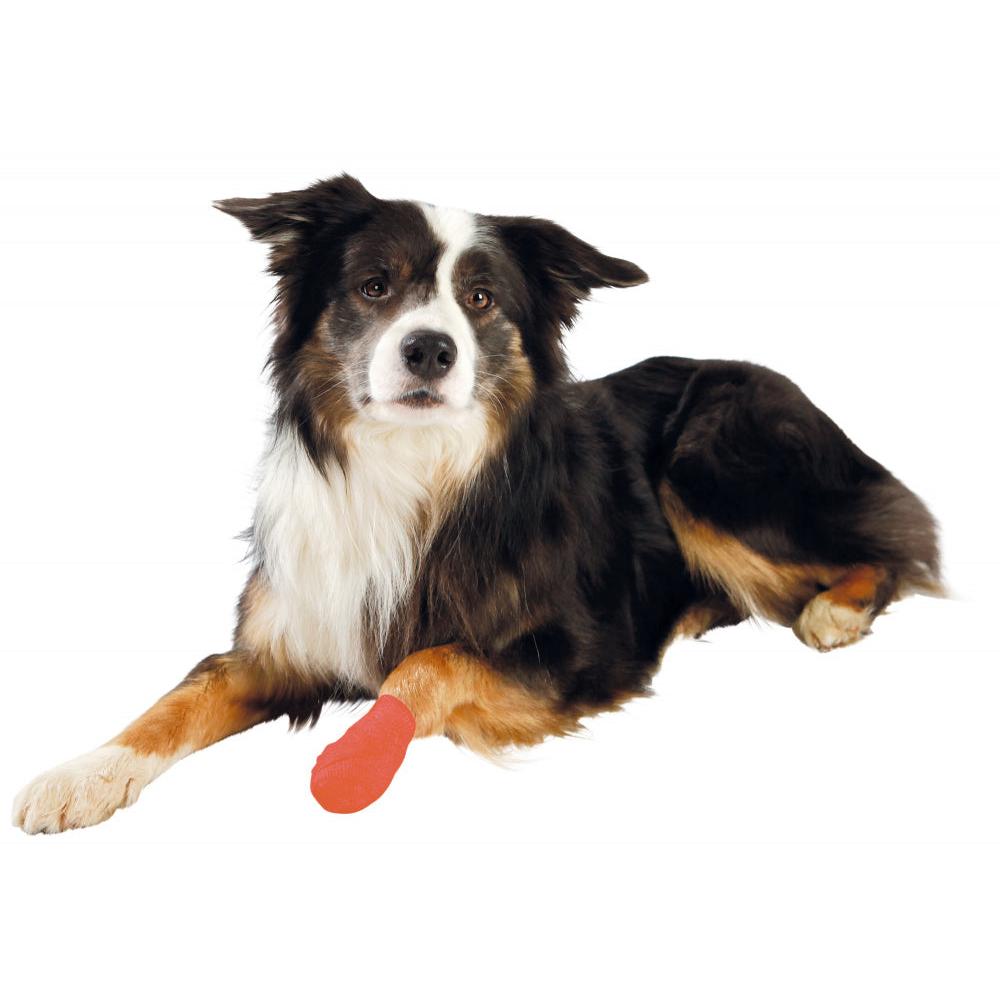 Bandages with Bitter Substance