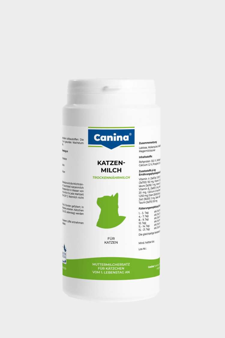 Cat Milk