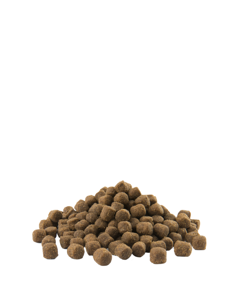 Opti Life Adult Digestion Mini