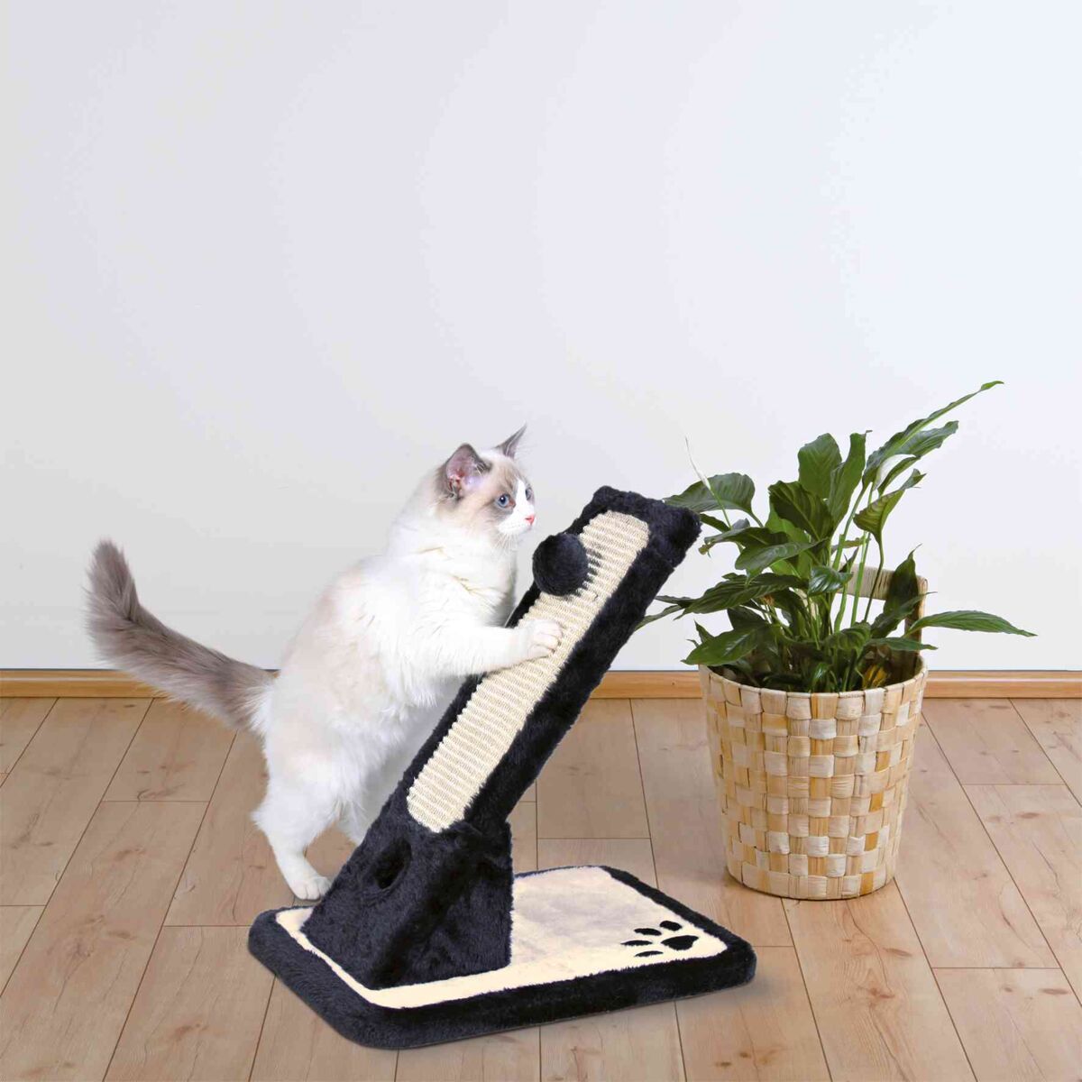 Scratching Board