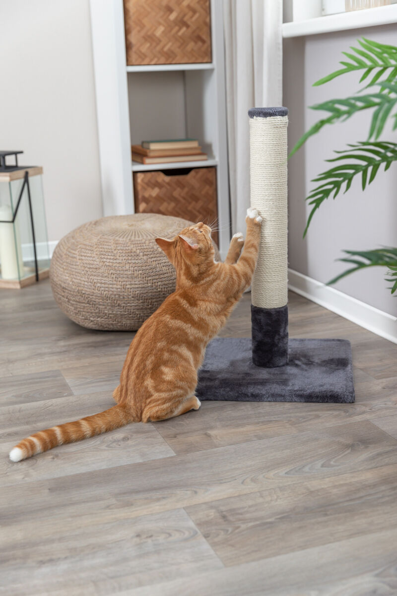 Scratching Post Batres