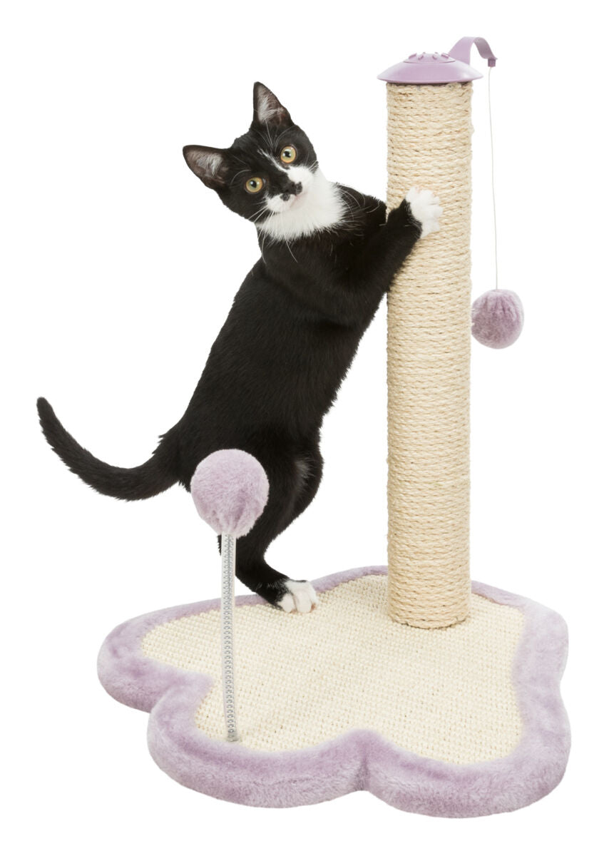 Scratching Post