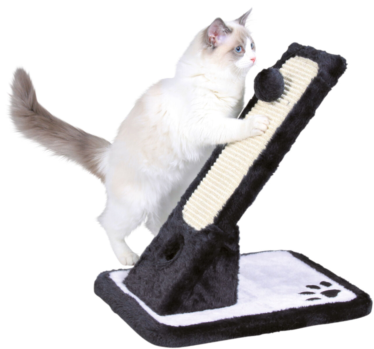 Scratching Board