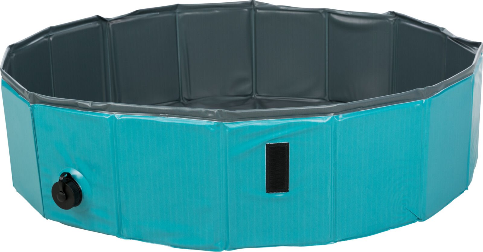 Dog Pool