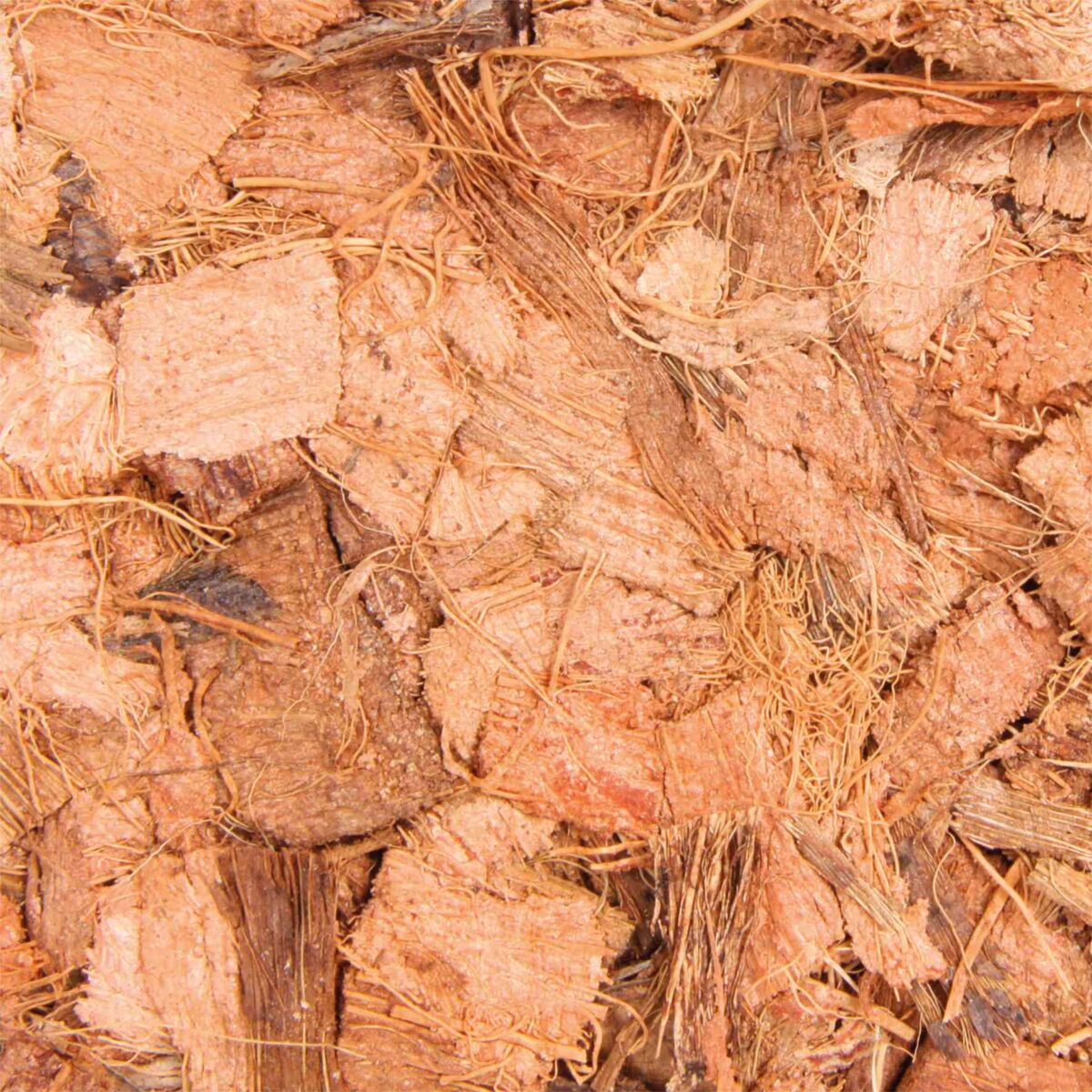 Coco Husks