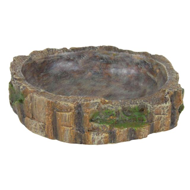 Water and Food Bowl