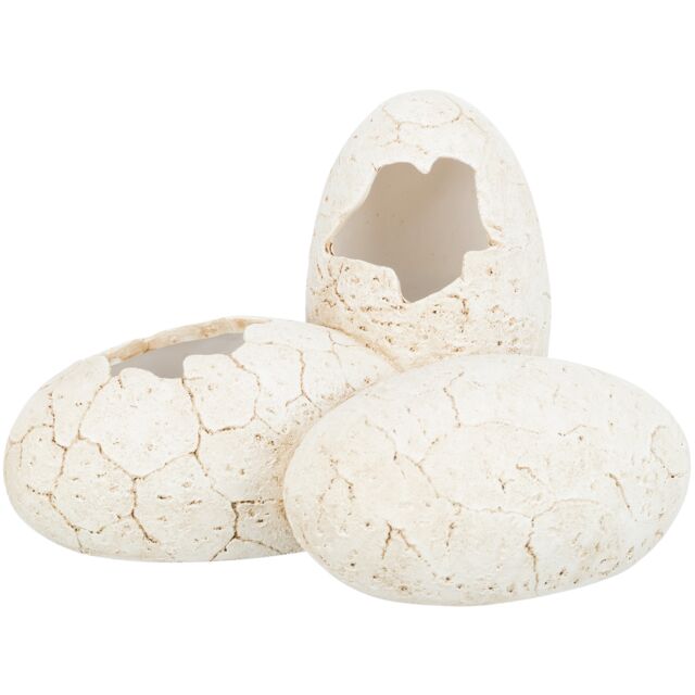 Reptile Cave, eggs