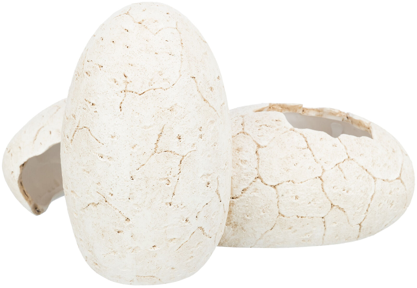 Reptile Cave, eggs