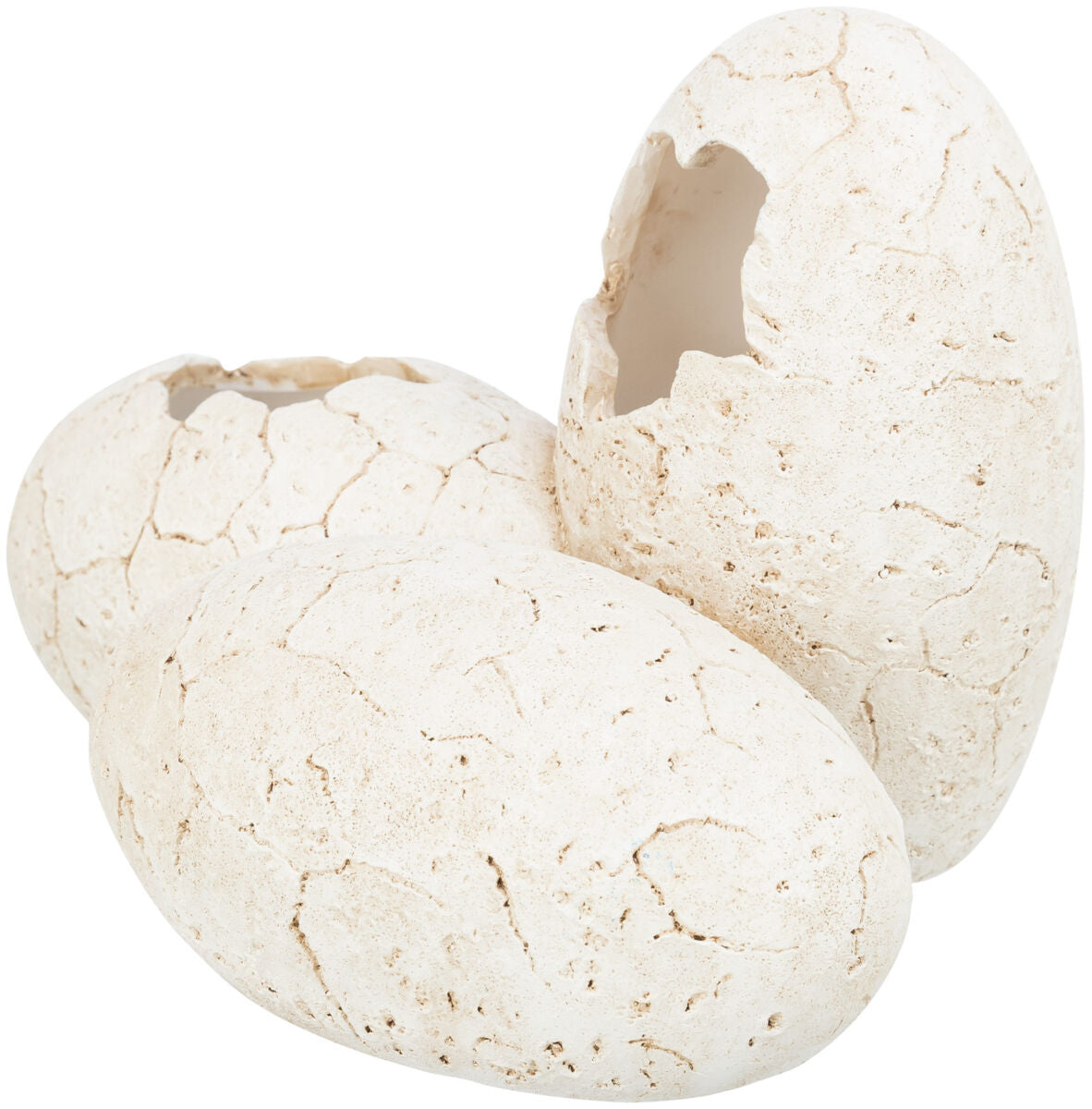 Reptile Cave, eggs