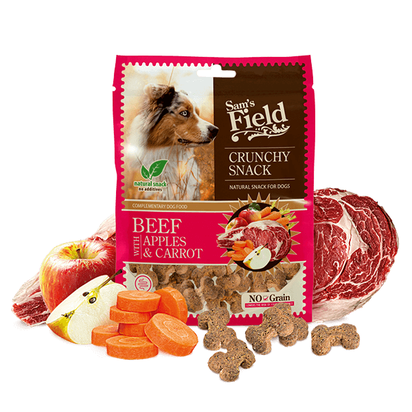 Crunchy Cracker Beef with Apples & Carrot