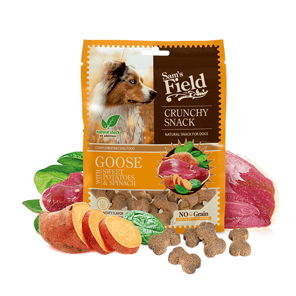 Crunchy Cracker Goose with Sweet Potatoes & Spinach