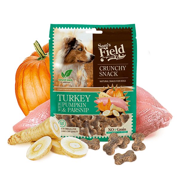 Crunchy Cracker Turkey with Pumpkin & Parsnip