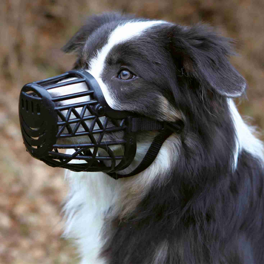 Muzzle